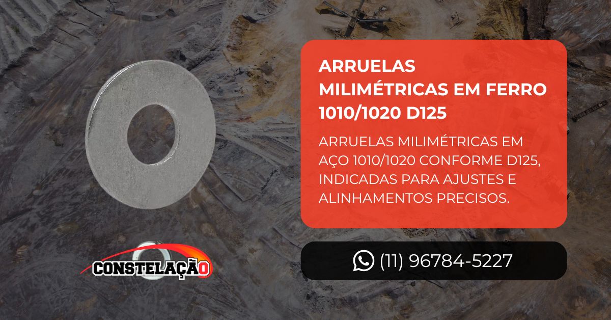 Arruelas Milimétricas em Ferro 1010/1020 D125